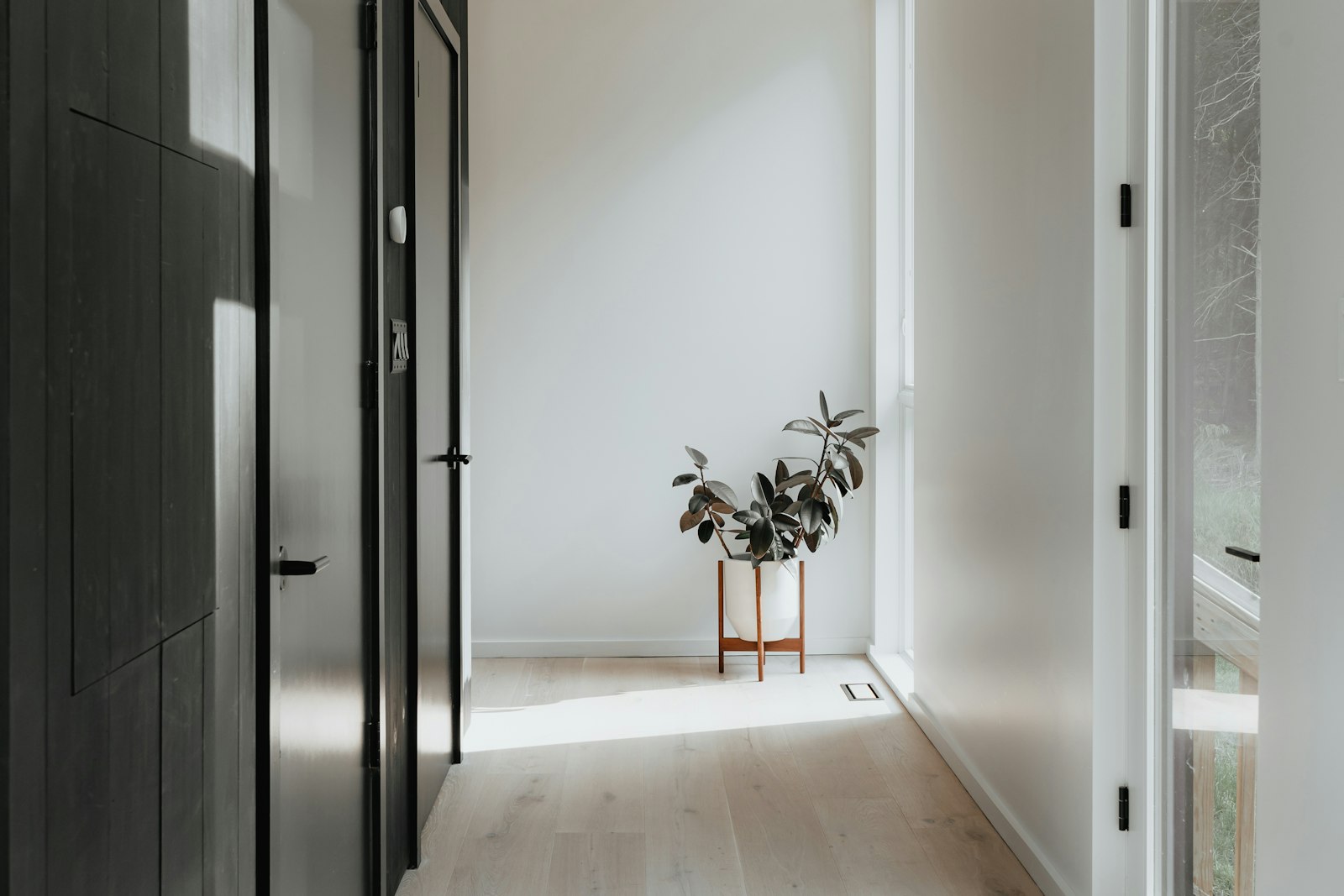 Recurring Home Cleaning